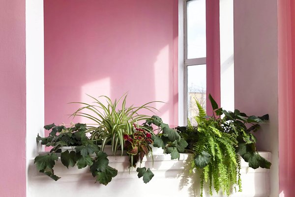 What's the Best Way to Incorporate a Geometric Print Scarf into a Corporate Lawyer's Attire?